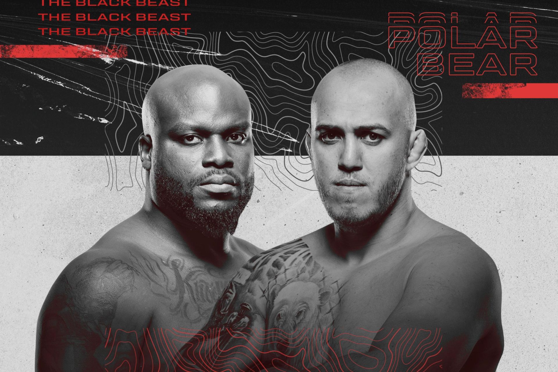 UFC Fight Night